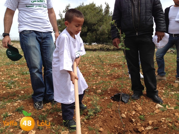 ludandyaffazaitoon (9).JPG